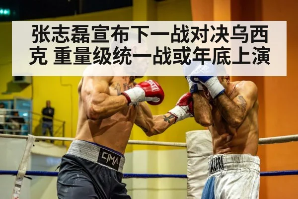 张志磊宣布下一战对决乌西克 重量级统一战或年底上演