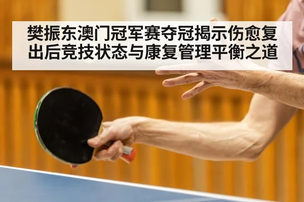 樊振东澳门冠军赛夺冠揭示伤愈复出后竞技状态与康复管理平衡之道