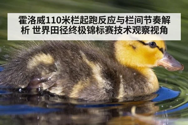 霍洛威110米栏起跑反应与栏间节奏解析 世界田径终极锦标赛技术观察视角