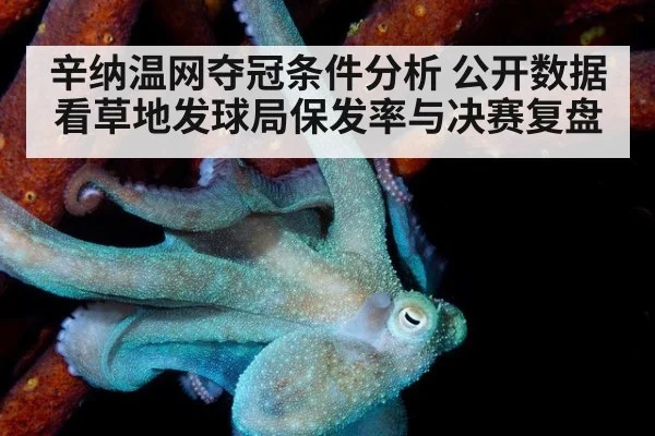 辛纳温网夺冠条件分析 公开数据看草地发球局保发率与决赛复盘